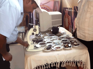 Deyata Kirula 2012. NGJA