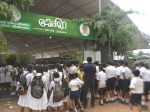 Sobha Environmental Exhibition- Royal Junior School