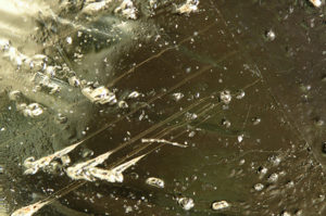 ETCHED TUBES EXTENDING FROM SURFACE ETCHED PITS AND ENDING AT THE TWINNING PLANE